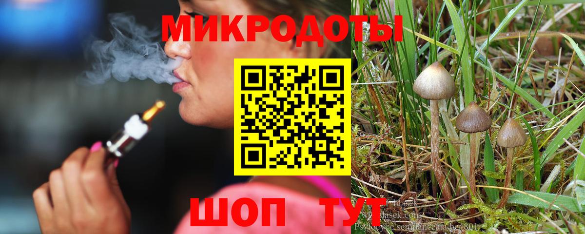 Нижнекамск  Псилоцибиновые грибы прущие грибы  Галлюциногенные грибы GOLDEN TEACHER  Вход с VPN 